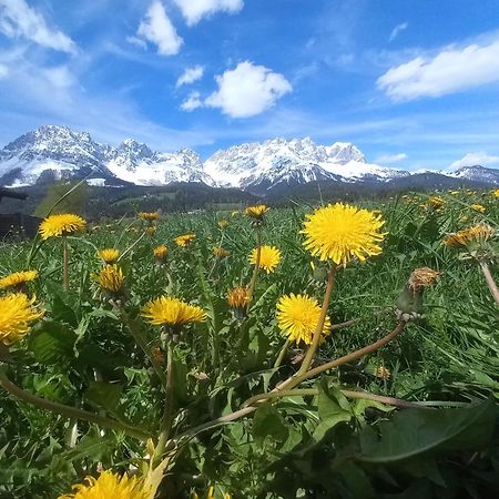 Ferienwohnung Lara Шеффау-ам-Вильден-Кайзер Экстерьер фото